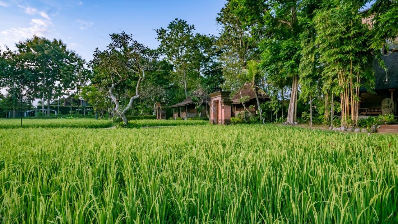 Kajane Yangloni At Ubud Bali Exterior foto