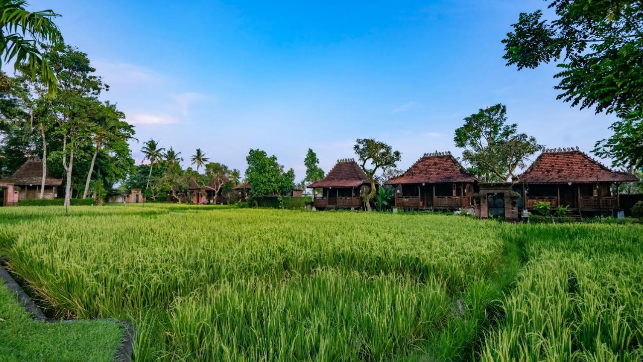 Kajane Yangloni At Ubud Bali Exterior foto